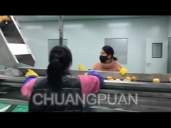 Nước ép trái cây được sản xuất như thế nào trong nhà máy?Hãy xem dây chuyền chế biến nước ép quả lê hoạt động