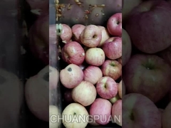 Bạn có biết nước ép HPP? Hãy xem dòng sản xuất nước ép táo hoạt động như thế nào